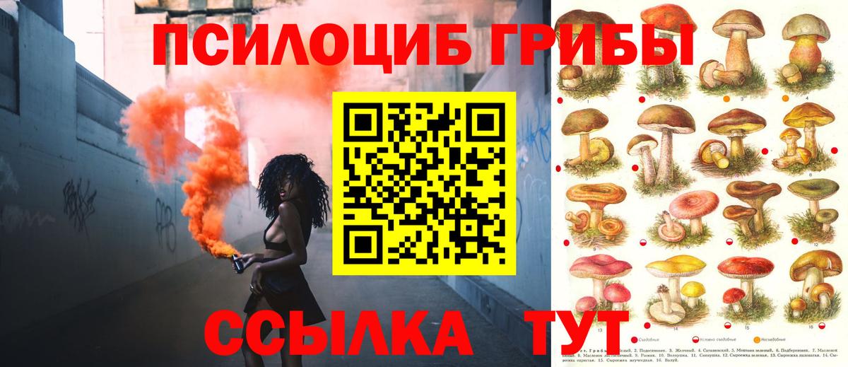 Псилоцибиновые грибы мухоморы Чернушка